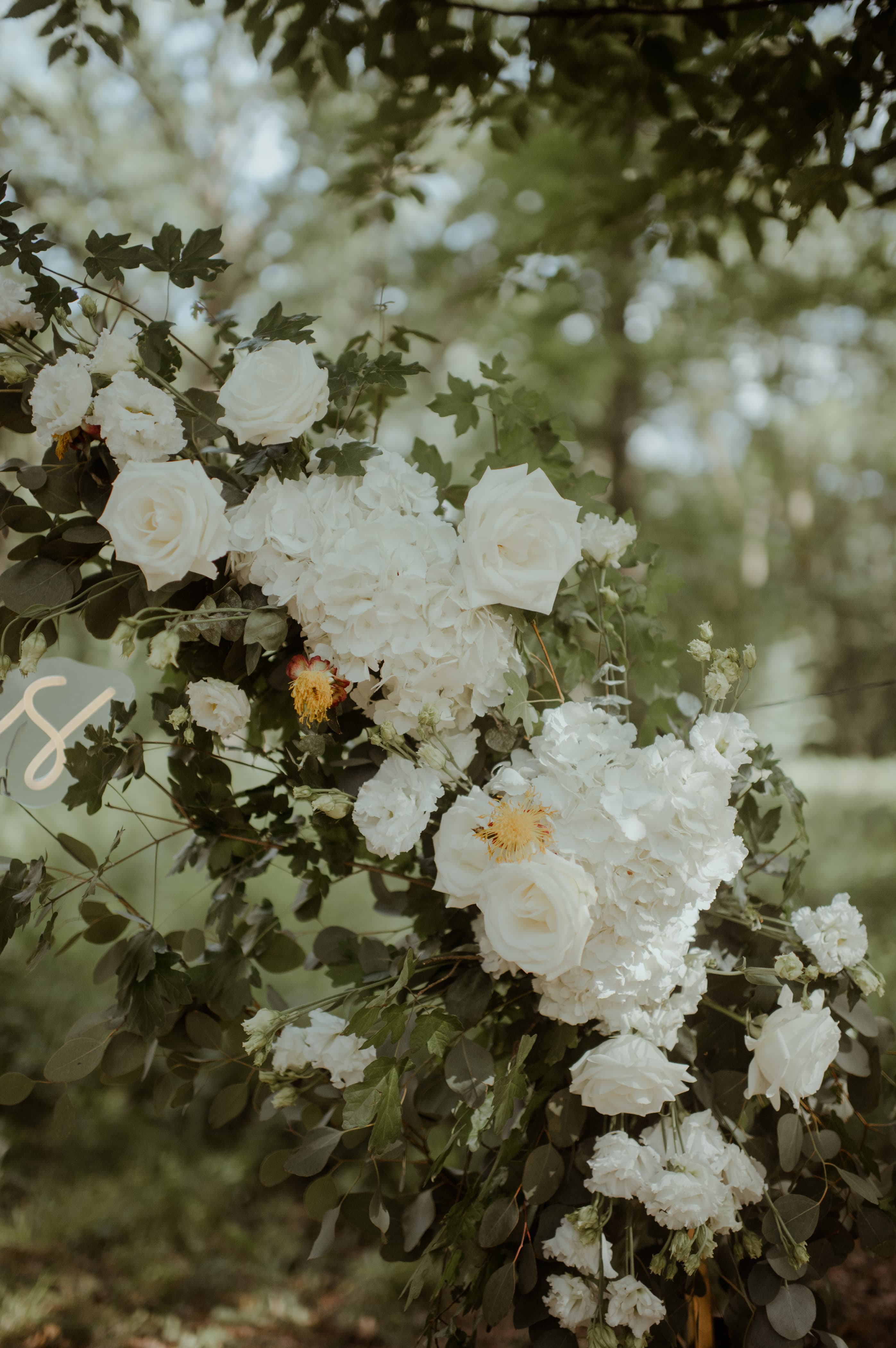 Decor floral — Pastel