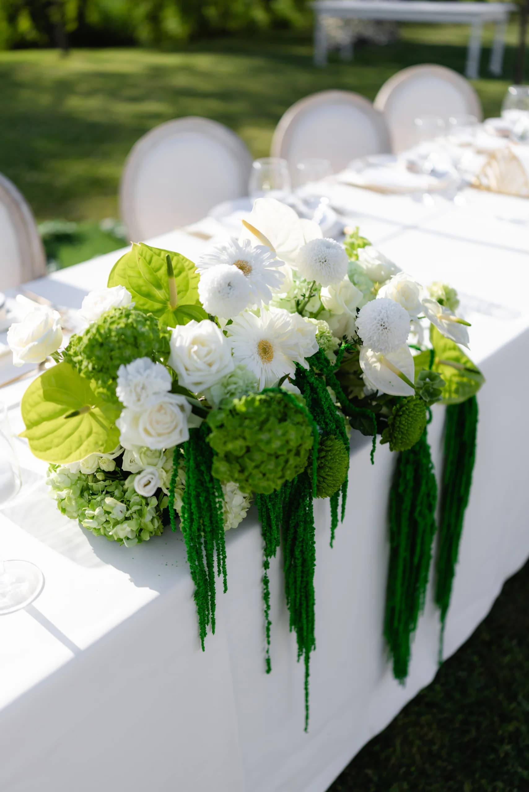 Decor floral — Eleganță Botanică